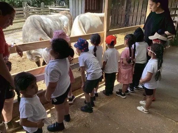Nishkam Nursery - Outdoor Learning