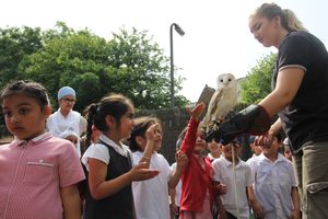 Safeguarding and Protecting Children