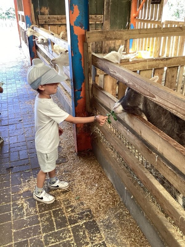 Nursery Activity