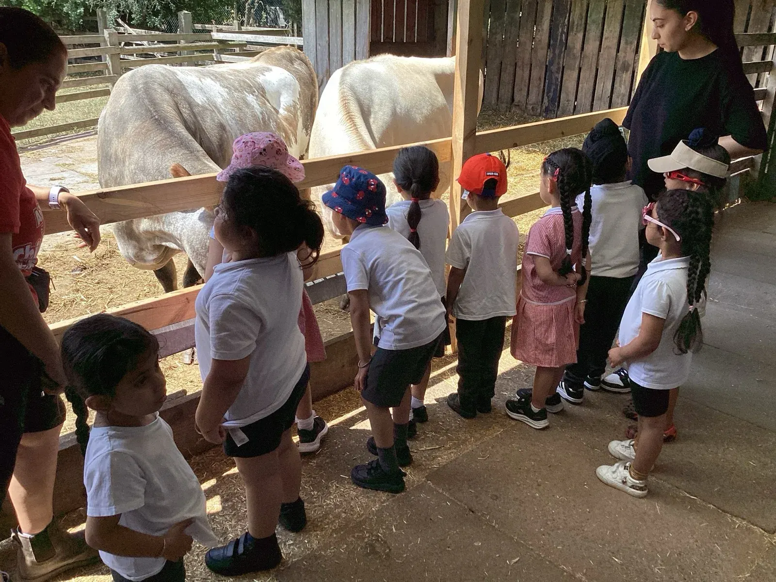 Nursery activities and play